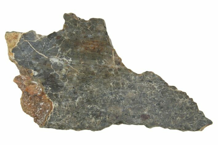 Lunar Meteorite ( g) Slice - Laayoune #360213